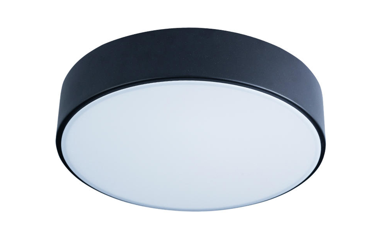 фото: Светильник LOFT IT Axel 10002/12 Black
